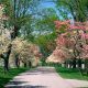 Visit Spring Garden Park: A Bloom-Filled Escape | The Ultimate Gardening Guide: Grow a Thriving Garden Year-Round