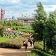 Explore the Beauty of 88 Garden Olympic Park Oasis | The Ultimate Gardening Guide: Grow a Thriving Garden Year-Round
