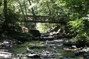 Your Swan Creek Park Community Garden Guide + Tips | The Ultimate Gardening Guide: Grow a Thriving Garden Year-Round