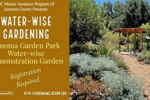 Explore Sonoma Garden Park: A Green Escape in Sonoma | The Ultimate Gardening Guide: Grow a Thriving Garden Year-Round