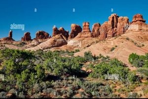 Explore Garden of Eden in Arches National Park Guide | The Ultimate Gardening Guide: Grow a Thriving Garden Year-Round