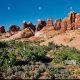 Explore Garden of Eden in Arches National Park Guide | The Ultimate Gardening Guide: Grow a Thriving Garden Year-Round