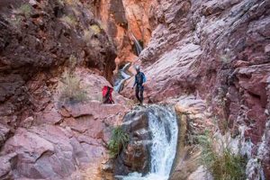 Explore Garden Canyon Park: Nature's Hidden Gem! The Ultimate Gardening Guide: Grow a Thriving Garden Year-Round Explore Garden Canyon Park: Nature's Hidden Gem! | The Ultimate Gardening Guide: Grow a Thriving Garden Year-Round