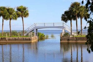 Visit Newton Park Winter Garden FL: A Perfect Park Day! | The Ultimate Gardening Guide: Grow a Thriving Garden Year-Round
