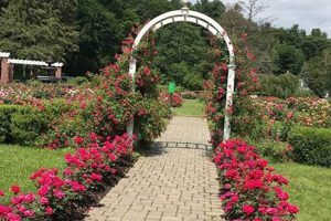 Explore Central Park Rose Garden: A Floral Park Oasis | The Ultimate Gardening Guide: Grow a Thriving Garden Year-Round