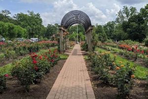 Discover Bon Air Park Rose Garden: Blooms & Beauty! | The Ultimate Gardening Guide: Grow a Thriving Garden Year-Round