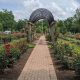 Discover Bon Air Park Rose Garden: Blooms & Beauty! | The Ultimate Gardening Guide: Grow a Thriving Garden Year-Round