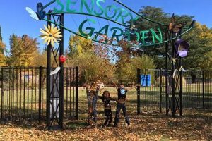 Discover the Sensory Garden at Idlewild Park Oasis | The Ultimate Gardening Guide: Grow a Thriving Garden Year-Round
