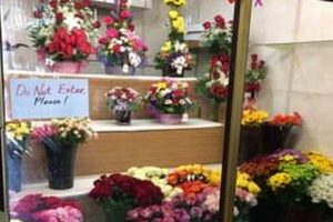Find the Best Florists in Garden Grove, CA + Flower Delivery The Ultimate Gardening Guide: Grow a Thriving Garden Year-Round Find the Best Florists in Garden Grove, CA + Flower Delivery | The Ultimate Gardening Guide: Grow a Thriving Garden Year-Round