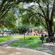 Visit Chapin Station Park in Winter Garden, FL | Fun! | The Ultimate Gardening Guide: Grow a Thriving Garden Year-Round