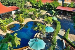 Discover the Garden Park: Your Urban Oasis The Ultimate Gardening Guide: Grow a Thriving Garden Year-Round Discover the Garden Park: Your Urban Oasis | The Ultimate Gardening Guide: Grow a Thriving Garden Year-Round