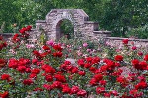 Visit Ritter Park Rose Garden: A Floral Paradise The Ultimate Gardening Guide: Grow a Thriving Garden Year-Round Visit Ritter Park Rose Garden: A Floral Paradise | The Ultimate Gardening Guide: Grow a Thriving Garden Year-Round