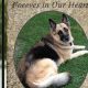 Best Garden Flags Dogs: Decorate With Canine Flags! | The Ultimate Gardening Guide: Grow a Thriving Garden Year-Round