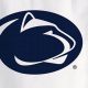Show Your Pride: Penn State Garden Flag Decor | The Ultimate Gardening Guide: Grow a Thriving Garden Year-Round
