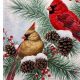 Festive Xmas Garden Flags: Holiday Cheer for Your Yard | The Ultimate Gardening Guide: Grow a Thriving Garden Year-Round
