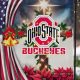 Show Your Pride! Ohio State Buckeyes Garden Flag Decor | The Ultimate Gardening Guide: Grow a Thriving Garden Year-Round