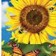Decorate with Sunflower Garden Flag Ideas for Your Yard! | The Ultimate Gardening Guide: Grow a Thriving Garden Year-Round