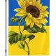 Show Support: Ukraine Garden Flag - Solidarity Now! | The Ultimate Gardening Guide: Grow a Thriving Garden Year-Round