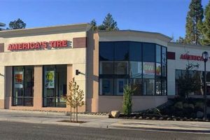 Your Best Tires: America's Tire Garden Grove, CA Experts The Ultimate Gardening Guide: Grow a Thriving Garden Year-Round Your Best Tires: America's Tire Garden Grove, CA Experts | The Ultimate Gardening Guide: Grow a Thriving Garden Year-Round