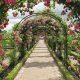 Create a Stunning Ros Garden: Design & Care Tips | The Ultimate Gardening Guide: Grow a Thriving Garden Year-Round