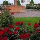 Visit Duluth Rose Garden: A Floral Escape in MN | The Ultimate Gardening Guide: Grow a Thriving Garden Year-Round
