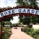 Mesa's Rose Garden Homes: Your Mesa Paradise | The Ultimate Gardening Guide: Grow a Thriving Garden Year-Round