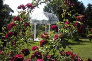 Visit Zapata Rose Garden: A Blooming [City/Area] Gem! | The Ultimate Gardening Guide: Grow a Thriving Garden Year-Round