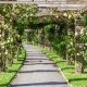Discover Rose Garden London: Blooms & Beauty | The Ultimate Gardening Guide: Grow a Thriving Garden Year-Round