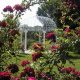 Explore: Rose Garden Zapata TX - A Texas Bloom | The Ultimate Gardening Guide: Grow a Thriving Garden Year-Round