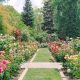 Visit Sacramento's McKinley Rose Garden: A Floral Paradise | The Ultimate Gardening Guide: Grow a Thriving Garden Year-Round