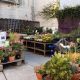 Your Urban Oasis: Sloat Garden Center San Francisco, CA Guide | The Ultimate Gardening Guide: Grow a Thriving Garden Year-Round