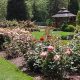 Visit McKeesport's Rose Garden Oasis | Garden Club | The Ultimate Gardening Guide: Grow a Thriving Garden Year-Round