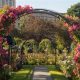 Explore Boston Rose Garden: A Floral Oasis! | The Ultimate Gardening Guide: Grow a Thriving Garden Year-Round