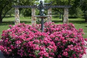 Visit Malcolm Gross Rose Garden: Blooms & Beauty! The Ultimate Gardening Guide: Grow a Thriving Garden Year-Round Visit Malcolm Gross Rose Garden: Blooms & Beauty! | The Ultimate Gardening Guide: Grow a Thriving Garden Year-Round