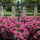 Visit Malcolm Gross Rose Garden: Blooms & Beauty! | The Ultimate Gardening Guide: Grow a Thriving Garden Year-Round