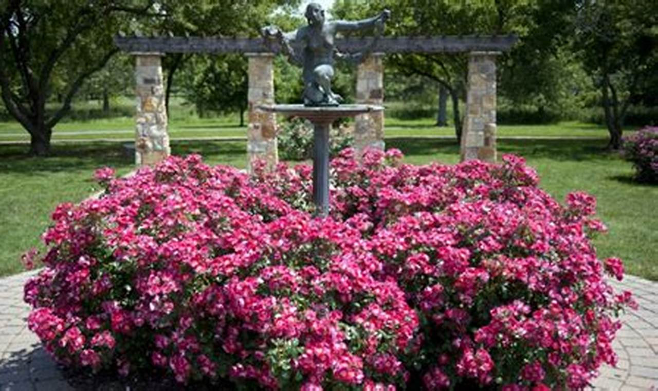 Visit Malcolm Gross Rose Garden: Blooms & Beauty!