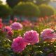 Growing Pink Roses in a Garden: Tips &amp; Beauty | The Ultimate Gardening Guide: Grow a Thriving Garden Year-Round
