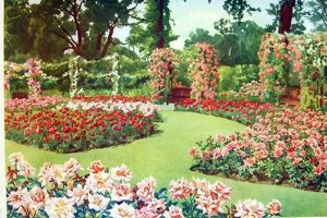 Dreamy Victorian Rose Garden Ideas & Inspiration The Ultimate Gardening Guide: Grow a Thriving Garden Year-Round Dreamy Victorian Rose Garden Ideas & Inspiration | The Ultimate Gardening Guide: Grow a Thriving Garden Year-Round