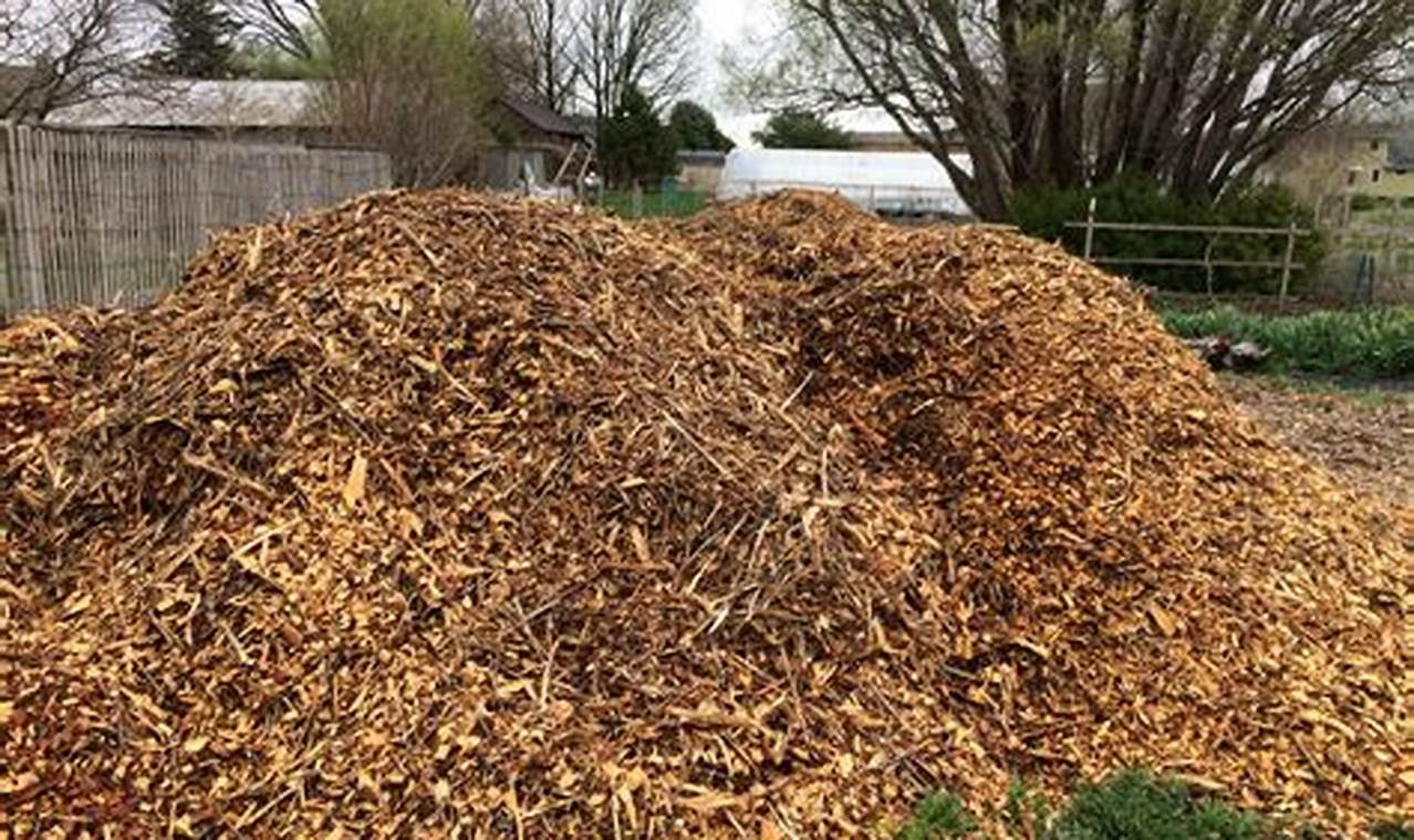 Rose Care: Can I Use Wood Chips in My Rose Garden? Tips | The Ultimate Gardening Guide: Grow a Thriving Garden Year-Round