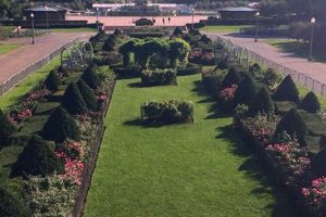 Your Thriving North Rose Garden: Tips &amp; Care | The Ultimate Gardening Guide: Grow a Thriving Garden Year-Round