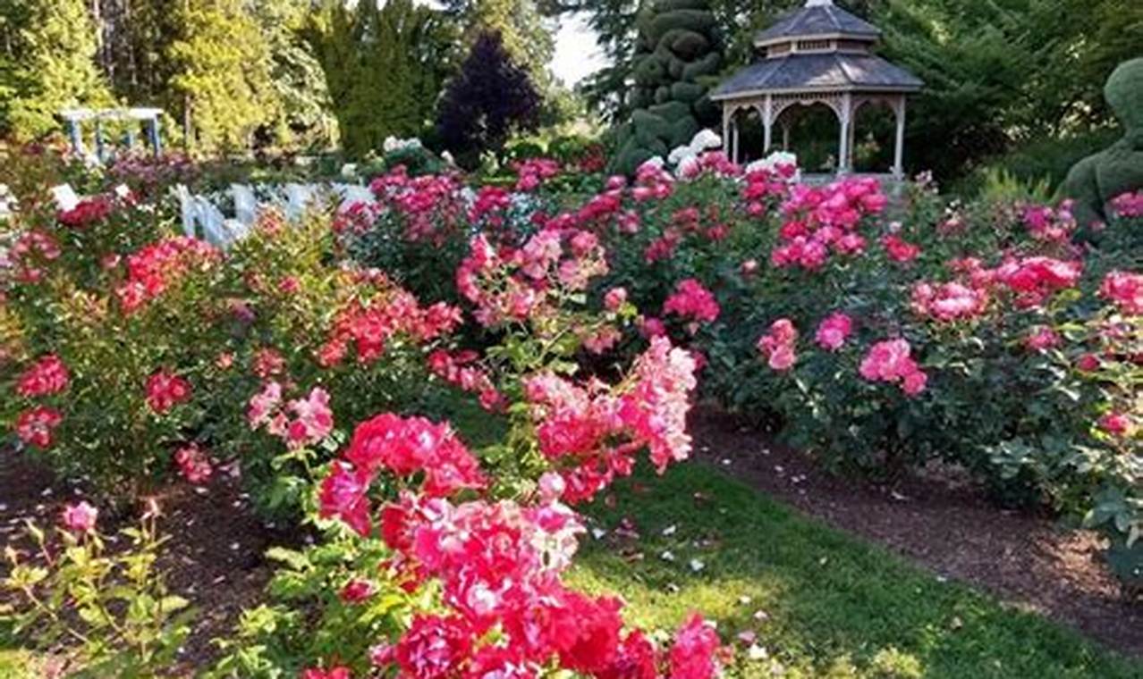 Seattle's Rose Garden Oasis: Bloom Guide & More | The Ultimate Gardening Guide: Grow a Thriving Garden Year-Round