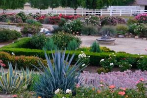 Discover Rose Haven Garden Temecula: A Floral Paradise The Ultimate Gardening Guide: Grow a Thriving Garden Year-Round Discover Rose Haven Garden Temecula: A Floral Paradise | The Ultimate Gardening Guide: Grow a Thriving Garden Year-Round
