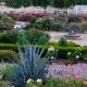 Discover Rose Haven Garden Temecula: A Floral Paradise | The Ultimate Gardening Guide: Grow a Thriving Garden Year-Round