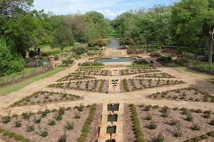 Creating a Beautiful Lower Rose Garden: Design & Care Tips The Ultimate Gardening Guide: Grow a Thriving Garden Year-Round Creating a Beautiful Lower Rose Garden: Design & Care Tips | The Ultimate Gardening Guide: Grow a Thriving Garden Year-Round