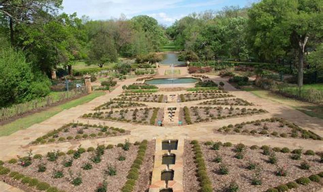 Creating a Beautiful Lower Rose Garden: Design &amp; Care Tips | The Ultimate Gardening Guide: Grow a Thriving Garden Year-Round