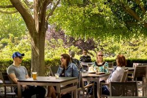 Your Guide to Rose Terrace Beer Garden: Local Oasis &amp; More | The Ultimate Gardening Guide: Grow a Thriving Garden Year-Round