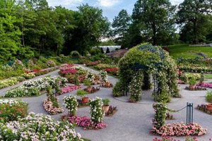 Explore: Peggy Rockefeller Rose Garden - A Blooming NYC Gem | The Ultimate Gardening Guide: Grow a Thriving Garden Year-Round