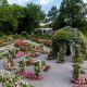Explore: Peggy Rockefeller Rose Garden - A Blooming NYC Gem | The Ultimate Gardening Guide: Grow a Thriving Garden Year-Round