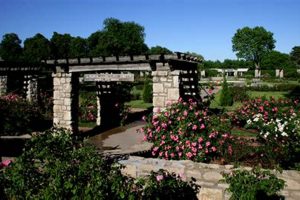 Discover Rose Garden Kansas City: A Floral Escape | The Ultimate Gardening Guide: Grow a Thriving Garden Year-Round