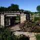 Discover Rose Garden Kansas City: A Floral Escape | The Ultimate Gardening Guide: Grow a Thriving Garden Year-Round
